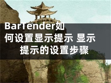 BarTender如何設(shè)置顯示提示 顯示提示的設(shè)置步驟