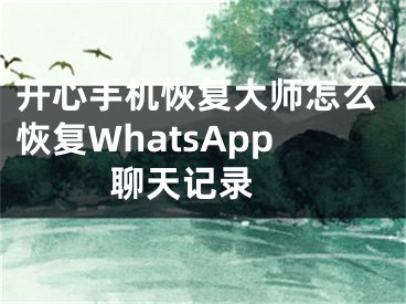 開心手機恢復(fù)大師怎么恢復(fù)WhatsApp聊天記錄 