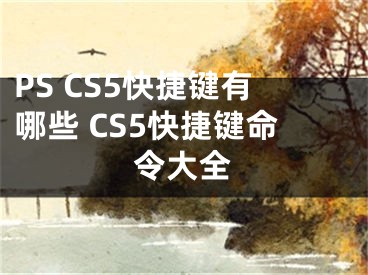 PS CS5快捷鍵有哪些 CS5快捷鍵命令大全