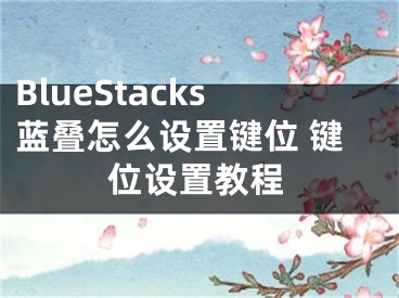 BlueStacks藍(lán)疊怎么設(shè)置鍵位 鍵位設(shè)置教程