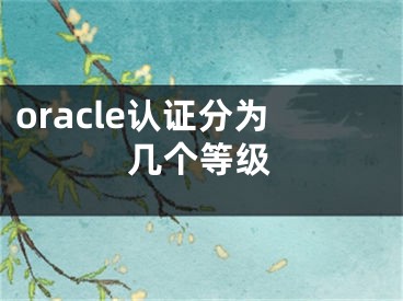 oracle認(rèn)證分為幾個(gè)等級(jí)