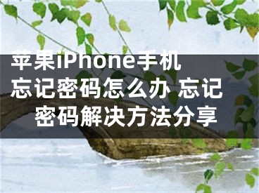 蘋(píng)果iPhone手機(jī)忘記密碼怎么辦 忘記密碼解決方法分享