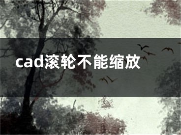 cad滾輪不能縮放