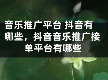 音樂推廣平臺 抖音有哪些，抖音音樂推廣接單平臺有哪些