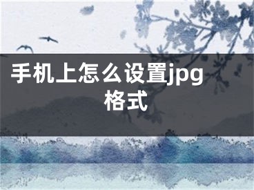 手機上怎么設(shè)置jpg格式