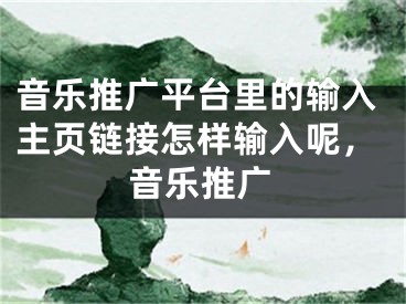 音樂推廣平臺里的輸入主頁鏈接怎樣輸入呢，音樂推廣