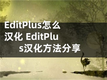 EditPlus怎么漢化 EditPlus漢化方法分享