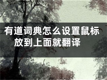 有道詞典怎么設(shè)置鼠標(biāo)放到上面就翻譯 