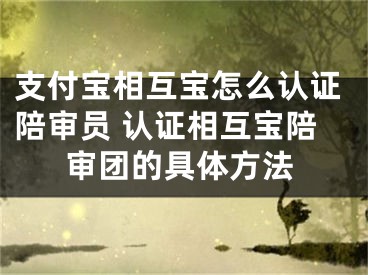 支付寶相互寶怎么認(rèn)證陪審員 認(rèn)證相互寶陪審團(tuán)的具體方法