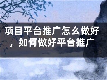 項(xiàng)目平臺推廣怎么做好，如何做好平臺推廣