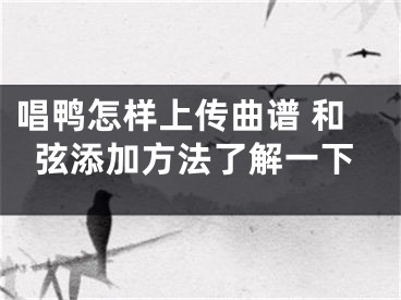 唱鴨怎樣上傳曲譜 和弦添加方法了解一下