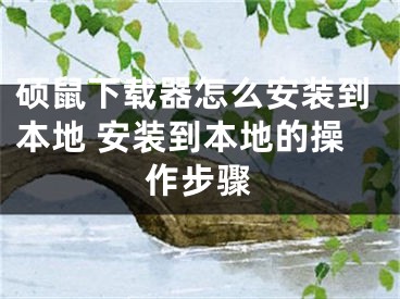 碩鼠下載器怎么安裝到本地 安裝到本地的操作步驟