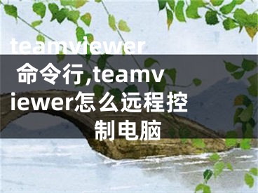 teamviewer 命令行,teamviewer怎么遠(yuǎn)程控制電腦