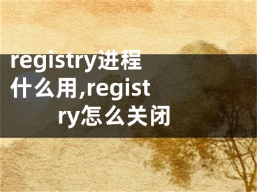 registry進程什么用,registry怎么關(guān)閉