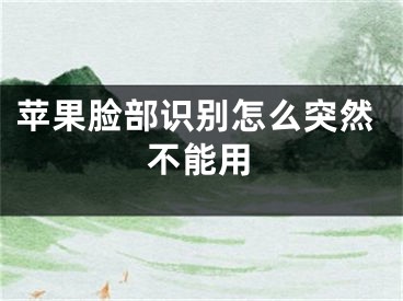 蘋果臉部識別怎么突然不能用