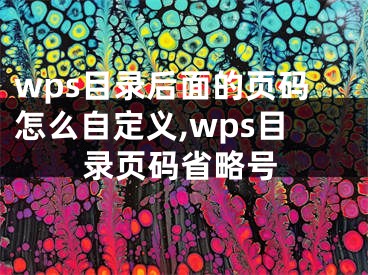 wps目錄后面的頁碼怎么自定義,wps目錄頁碼省略號