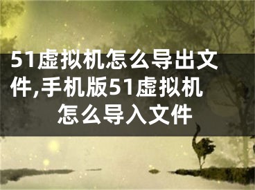 51虛擬機(jī)怎么導(dǎo)出文件,手機(jī)版51虛擬機(jī)怎么導(dǎo)入文件