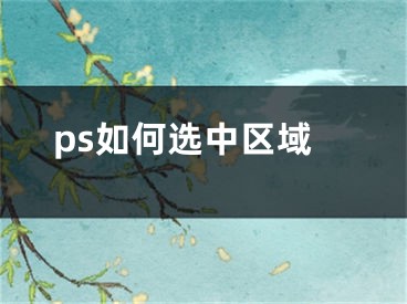 ps如何選中區(qū)域