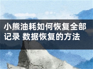 小熊油耗如何恢復(fù)全部記錄 數(shù)據(jù)恢復(fù)的方法