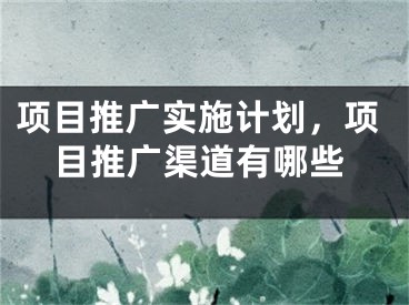 項目推廣實施計劃，項目推廣渠道有哪些