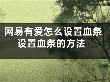 網(wǎng)易有愛怎么設置血條 設置血條的方法