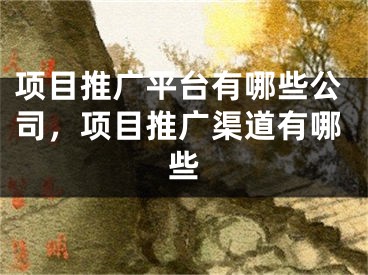 項目推廣平臺有哪些公司，項目推廣渠道有哪些