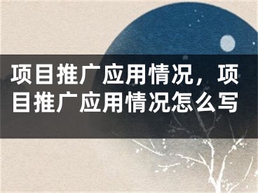 項目推廣應(yīng)用情況，項目推廣應(yīng)用情況怎么寫