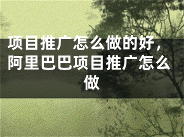 項(xiàng)目推廣怎么做的好，阿里巴巴項(xiàng)目推廣怎么做