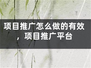 項目推廣怎么做的有效，項目推廣平臺