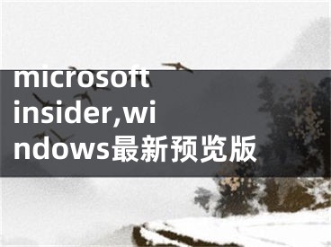 microsoft insider,windows最新預(yù)覽版