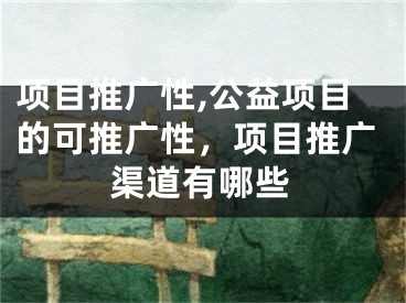 項(xiàng)目推廣性,公益項(xiàng)目的可推廣性，項(xiàng)目推廣渠道有哪些