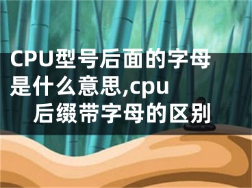 CPU型號(hào)后面的字母是什么意思,cpu 后綴帶字母的區(qū)別