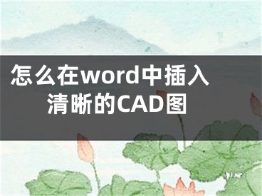 怎么在word中插入清晰的CAD圖