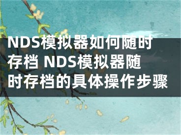 NDS模擬器如何隨時(shí)存檔 NDS模擬器隨時(shí)存檔的具體操作步驟