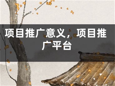 項(xiàng)目推廣意義，項(xiàng)目推廣平臺