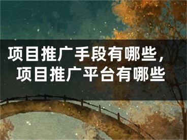 項(xiàng)目推廣手段有哪些，項(xiàng)目推廣平臺(tái)有哪些