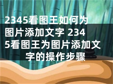 2345看圖王如何為圖片添加文字 2345看圖王為圖片添加文字的操作步驟