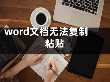 word文檔無法復(fù)制粘貼