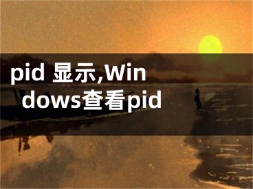 pid 顯示,Windows查看pid