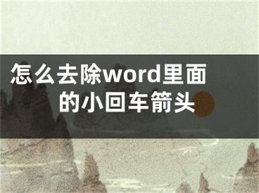 怎么去除word里面的小回車箭頭