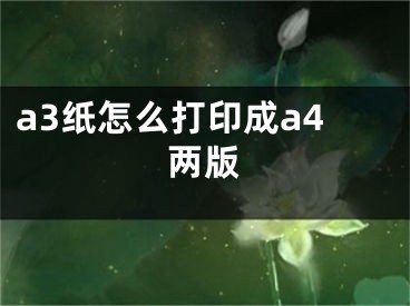 a3紙?jiān)趺创蛴〕蒩4兩版