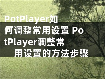 PotPlayer如何調整常用設置 PotPlayer調整常用設置的方法步驟