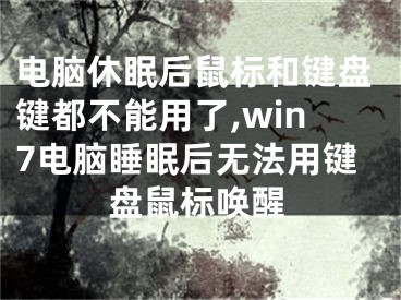 電腦休眠后鼠標和鍵盤鍵都不能用了,win7電腦睡眠后無法用鍵盤鼠標喚醒