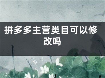 拼多多主營(yíng)類目可以修改嗎