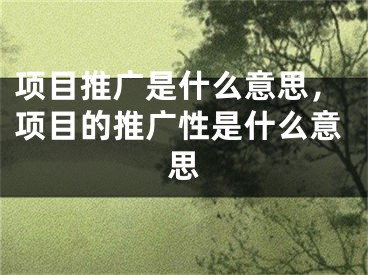 項(xiàng)目推廣是什么意思，項(xiàng)目的推廣性是什么意思