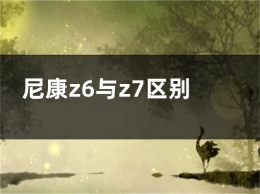 尼康z6與z7區(qū)別