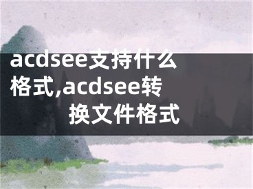 acdsee支持什么格式,acdsee轉(zhuǎn)換文件格式