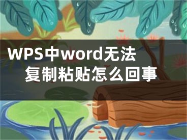 WPS中word無(wú)法復(fù)制粘貼怎么回事