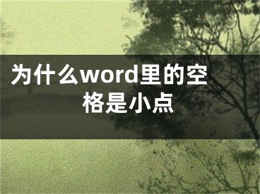 為什么word里的空格是小點