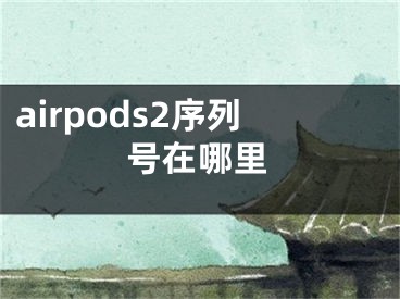 airpods2序列號(hào)在哪里